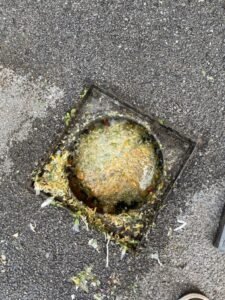 Blocked drains yate