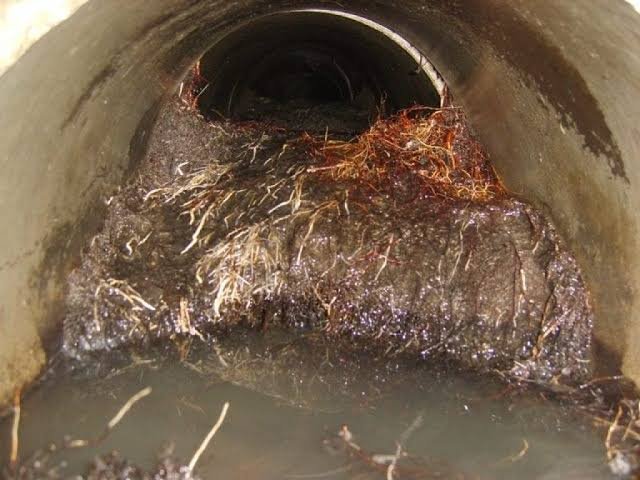CCTV still showing tree root ingress through a clay drain joint in Bristol